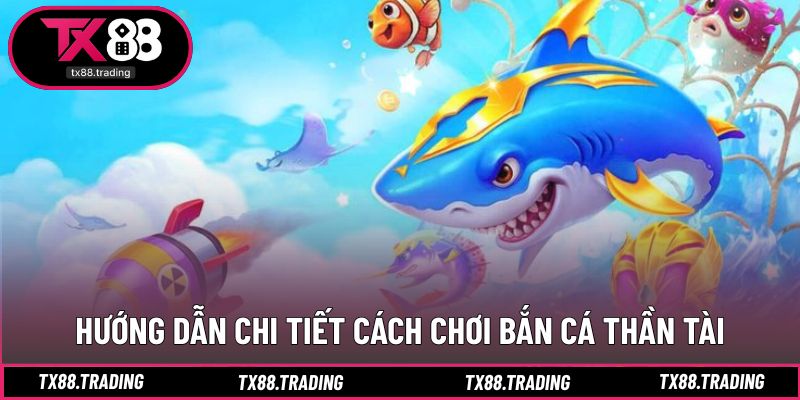 Cách tiếp cận săn cá thần tài hiệu quả cho người mới