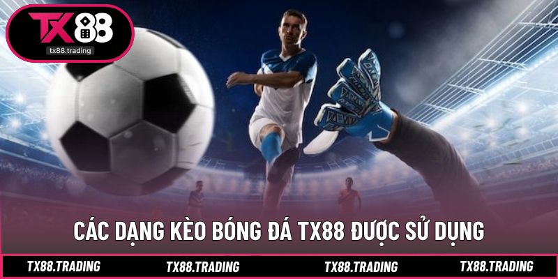 Những loại kèo bóng đá cơ bản người chơi cần nắm rõ