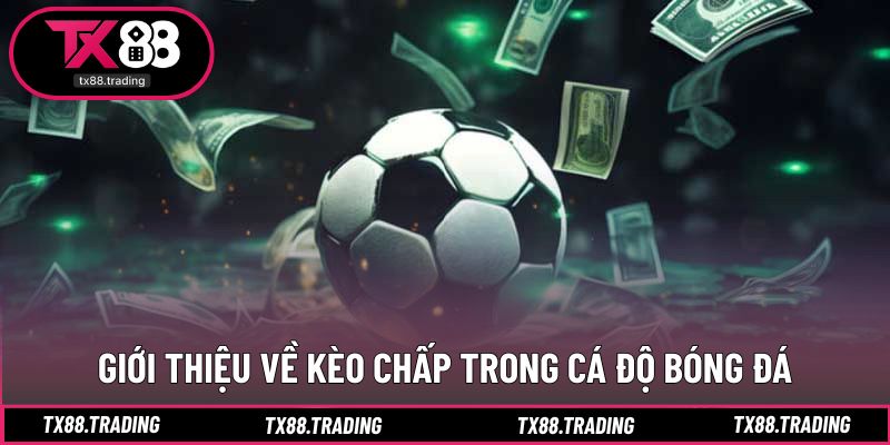 Tổng quan hình thức cược cân bằng chênh lệch trình độ