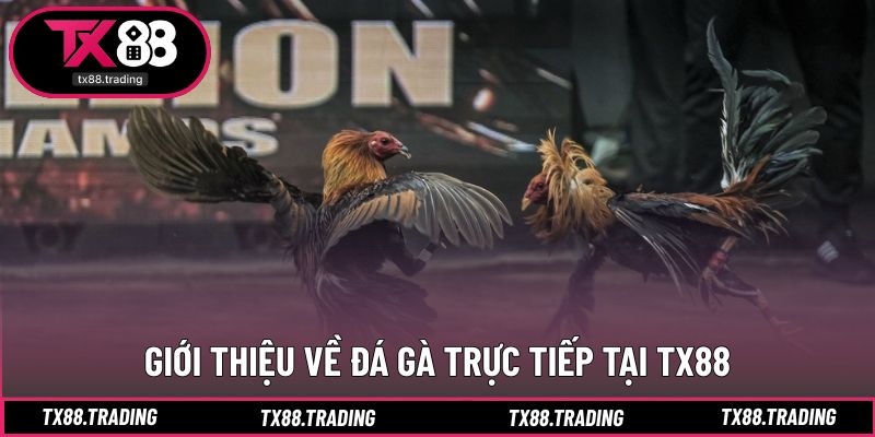 Trải nghiệm xem trận đấu theo thời gian thực rõ nét