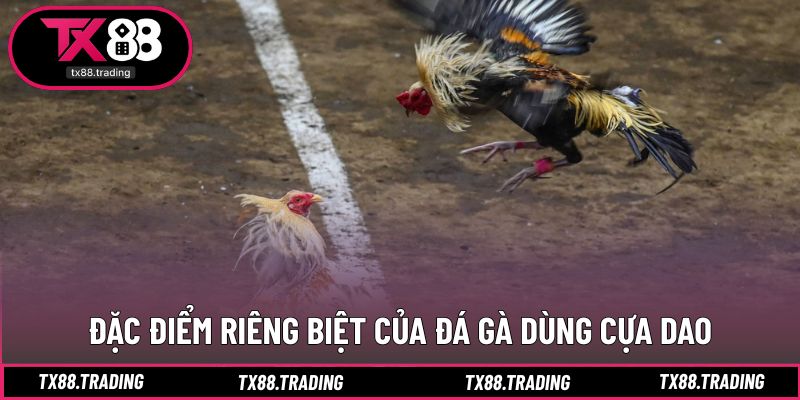Yếu tố tạo nên sự khác biệt rõ rệt của đá gà cựa dao